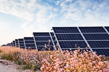 中國華能的“高性價(jià)比”光伏電站，妙招在這里！